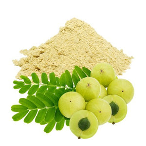 Amla Extracts Powder.