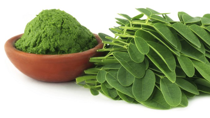 Senna Extracts Powder